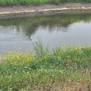 Meet your Posher, Alma